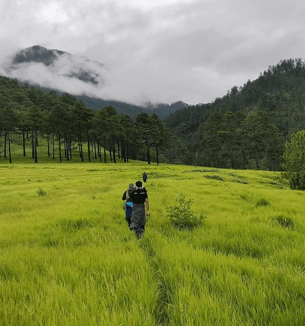 Offbeat Trek at Dong Valley