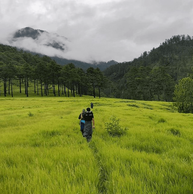 Offbeat Trek at Dong Valley