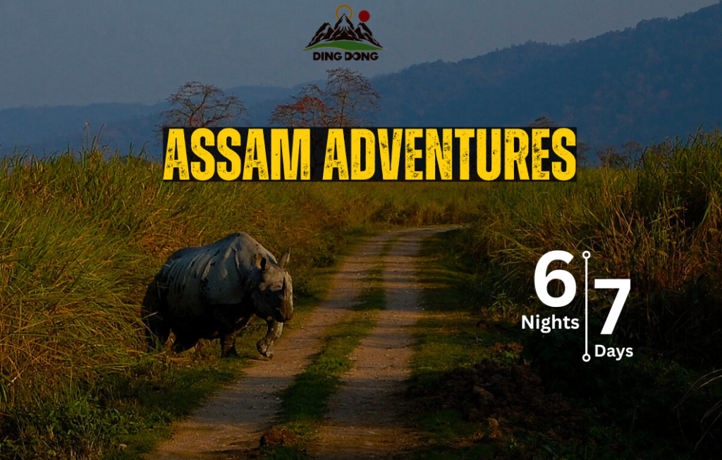 Assam - Kaziranga