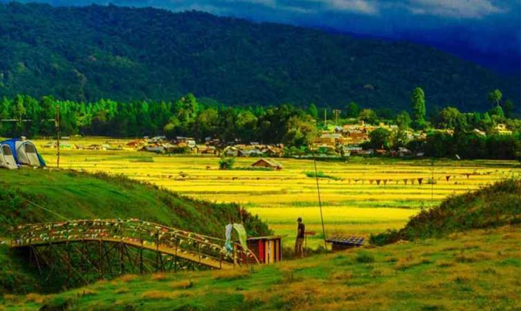 Ziro-Valley